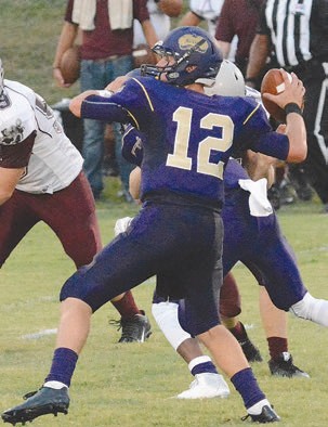 click to enlarge photo