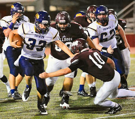 click to enlarge photo